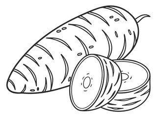 Taro Root Botanical Food Vector Illustration