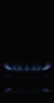Gas stove burner ignition to shutdown, blue flame on black background, static side close-up, loopable