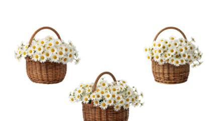 Daisy Basket