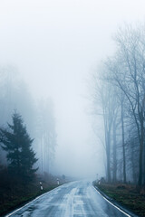 Obraz premium Mystical Foggy Forest in November, Atmospheric Woodland Landscape with Dense Mist in Natural Autumn Light