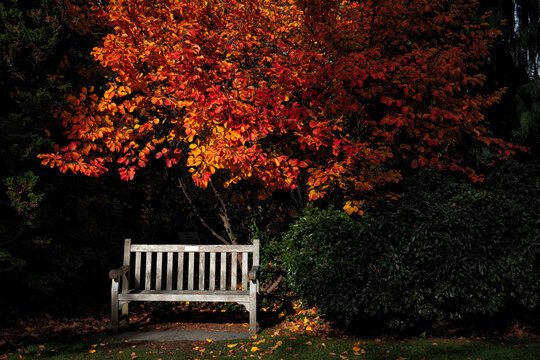 Autumn in New Jersey