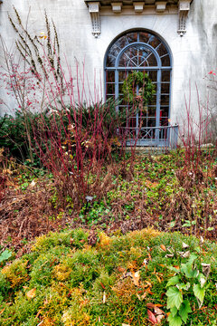 New Jersey Garden in Autumn