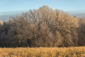 Zimowy zach&oacute;d słońca, szadź, mr&oacute;z, przymrozek, tapeta.
