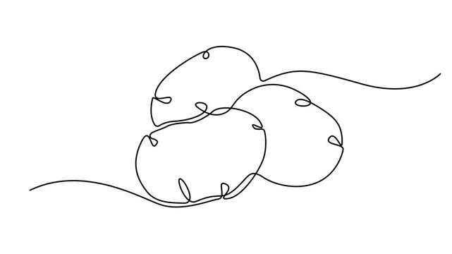 Potatoes single line animated illustration. One continuous self drawing line animation, footage of potatoes. Full length animated. 4K video