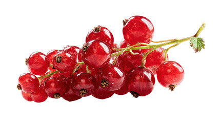 Group of vibrant redcurrant berries on a stem with a small green leaf. Fresh, raw, and organic summer fruit, transparent background