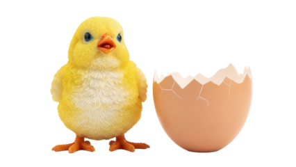 Cute yellow chick with cracked egg PNG isolated on transparent background, spring Easter decoration and design element
