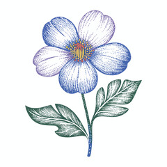 Fototapeta premium Hand drawn floral vector illustration of pink spring flowers and green leaves arranged in a decorative nature pattern for a summer garden bouquet art design element