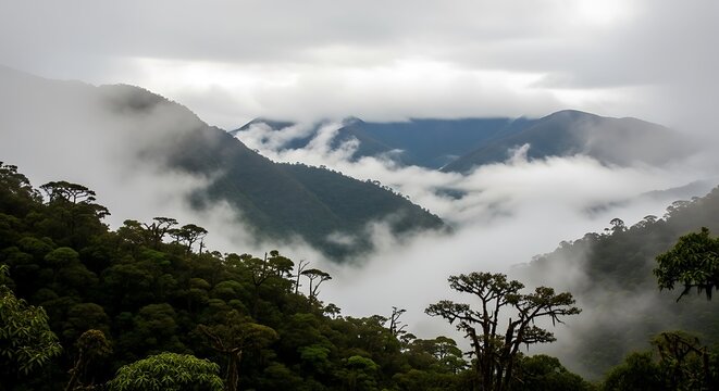 Misty clouds drift through a lush, green mountain valley forest. - Powered by Adobe