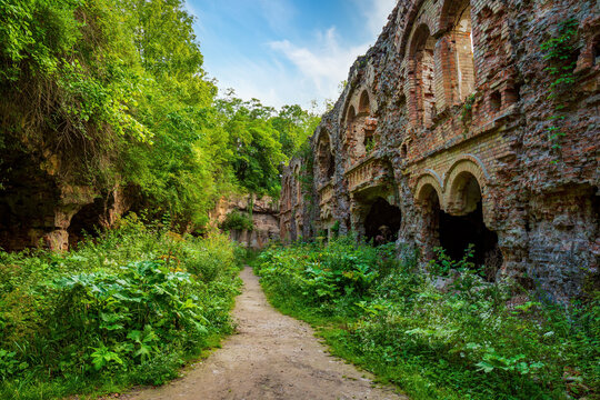 Ancient brick walls of Tarakaniv Fort stand as historical ruins, with lush green vegetation reclaiming structures and creating a path through the overgrown architectural reminder of the past