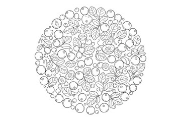 Vector illustration of blueberries background with berry branches and leaves in doodle style. © GoDesigner