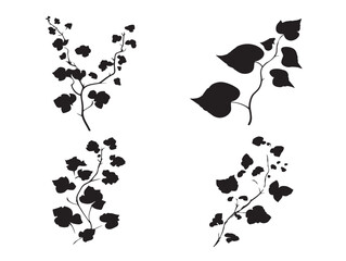 A beautiful collection of four elegant solid black ivy silhouette graphics