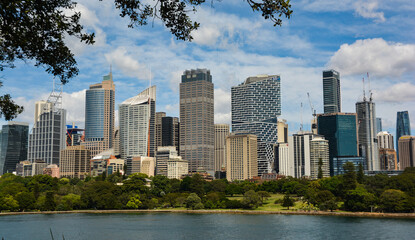 sydney city view