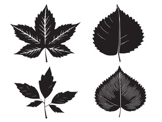 A stunning set of four detailed autumn leaf silhouette icons in solid black