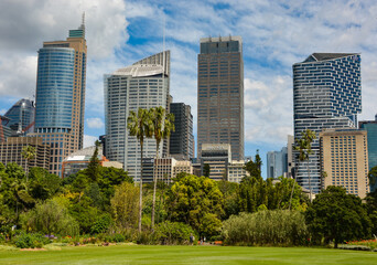 sydney city from the botanical garden