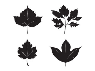 A gorgeous set of four elegant black fall leaf silhouette illustrations