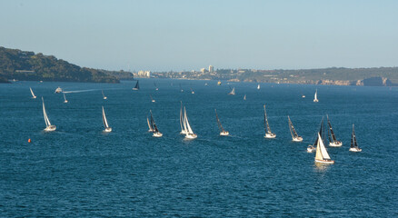 regata na ba&iacute;a de sydney