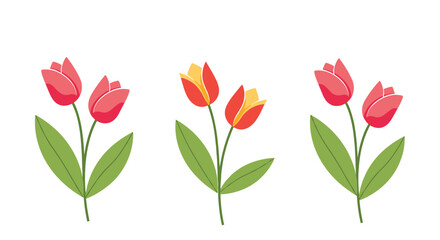 Fototapeta premium Set of three simple and charming tulip illustrations with green stems and leaves, isolated on a clean white background.