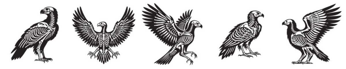 a set of vector eagle skeleton silhouettes