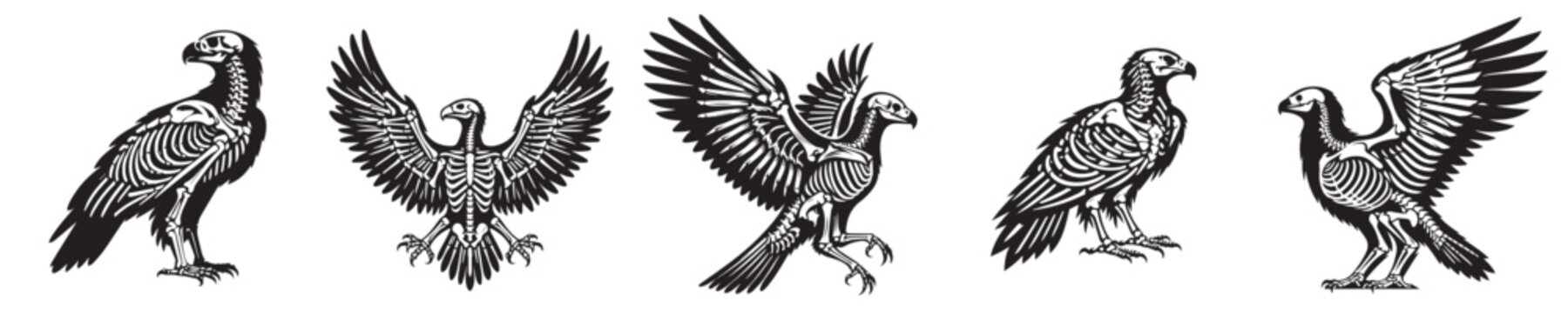 a set of vector eagle skeleton silhouettes