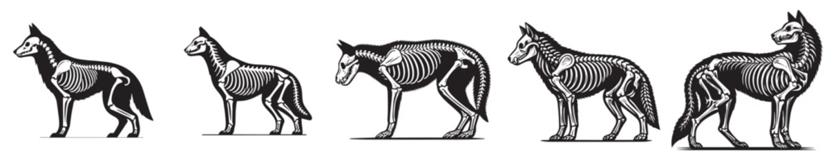 vector set of wolf bone skeleton silhouettes © Jefri Syahputra BKL