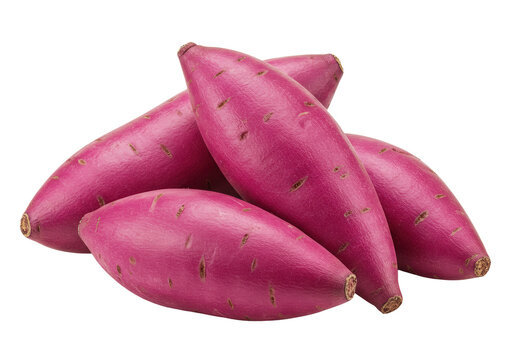 Three fresh, whole purple ube sweet potatoes with vibrant magenta skin, casually arranged on a transparent studio background with copy space, healthy natural ingredients concept.