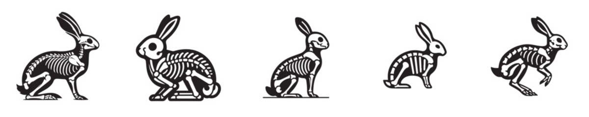 Fototapeta premium vector set of skeleton rabbit bones silhouettes