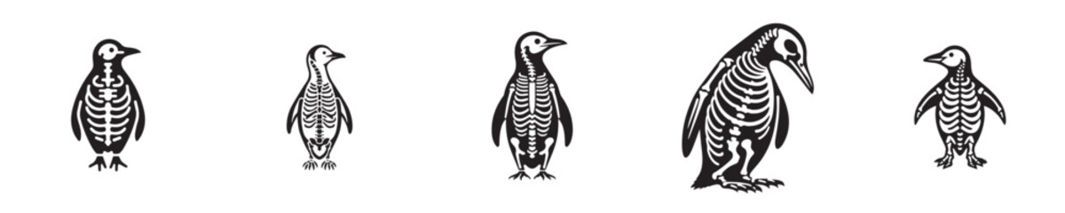 Fototapeta premium a set of penguin skeleton silhouette vectors