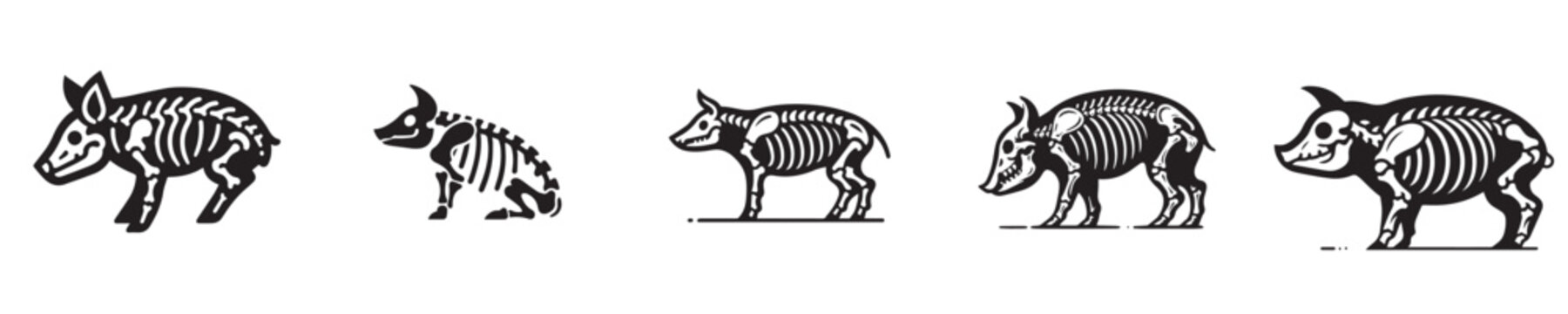 vector set of skeleton pig bones silhouettes