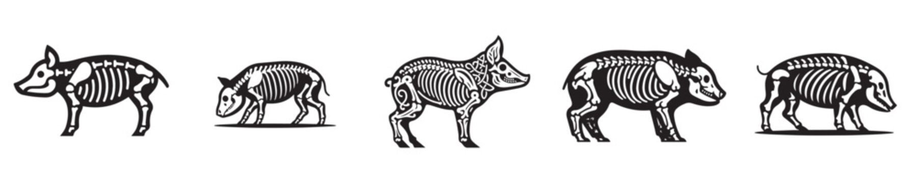 vector set of skeleton pig bones silhouettes