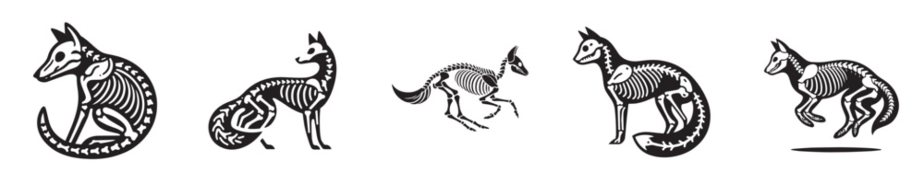 vector set of fox bone skeleton silhouettes