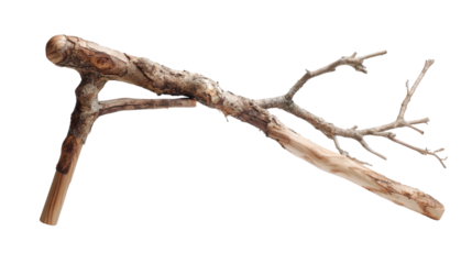 Gnarled wooden walking stick with rustic texture and small branches, isolated on a transparent background