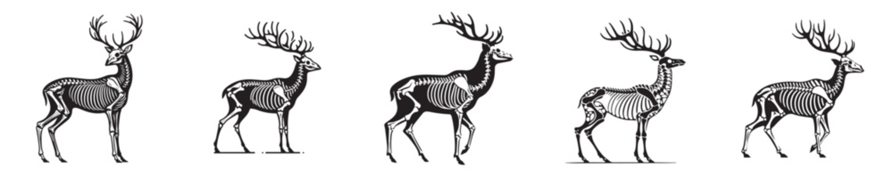vector set of skeleton deer bones silhouettes