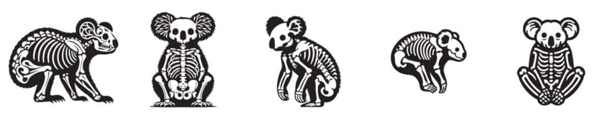 vector set of koala skeleton bones silhouettes © Jefri Syahputra BKL