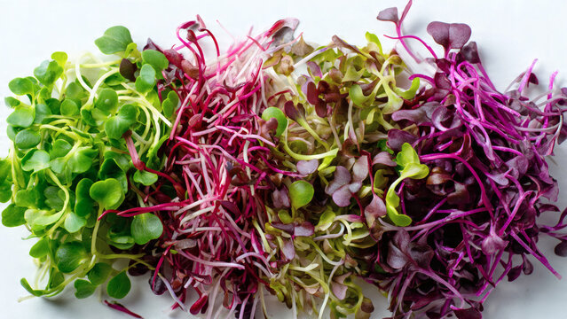 A vibrant flat lay of colorful microgreens on a white surface viewed from directly above showcasing various hues and textures