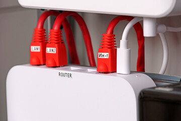 Ethernet modules for Internet transmission with connected cables with Rj45 connector. 