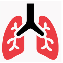 Lungs