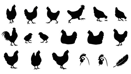 Chicken silhouettes collection