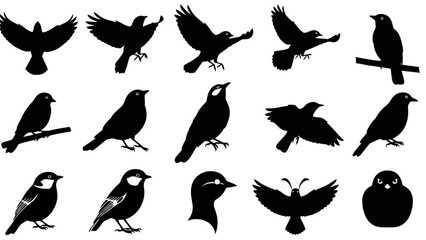 Bird silhouettes collection