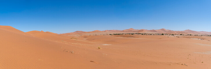 Sossusvlei in Namibia is an iconic Namib Desert landscape with towering red sand dunes, bright white clay pans, and ancient dead camel thorn trees beneath a deep blue sky. One of the oldest deserts on