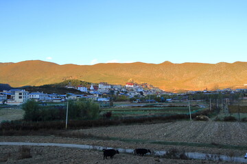 the Songzanlin Tibetan Monastery in Shangri-La, Yunnan province, China