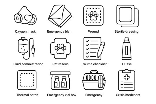 Label emer med vial oxygen wound gauze icon trauma box vector