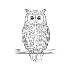 Obraz premium Owl Line Drawing Minimal Outline