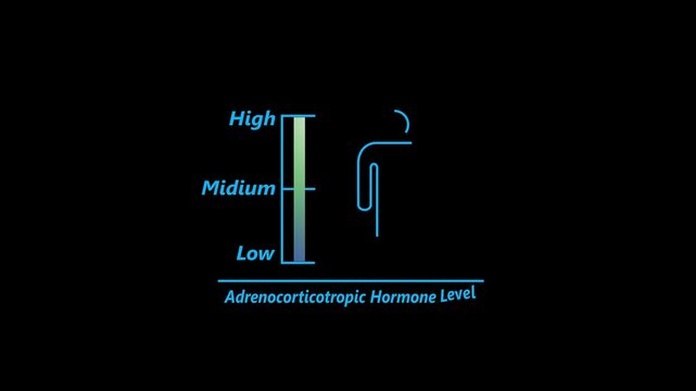 Adrenocorticotropic Hormone health good level on high measure scale. Instrument scale with silhouette of man icon animation on black background. 4k video