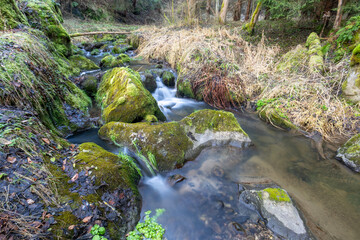A serene stream flows through moss-covered rocks in the Highland region of the Czech Republic, featuring long exposure to blur the waters movement.