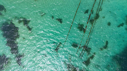 Vast expanses of sea farmers' seaweed plots look quite extensive when viewed from a drone on the...