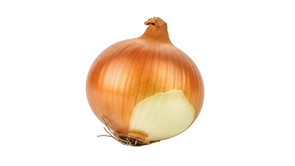 A close-up of a single onion, fresh and ready for culinary use. The onion's outer layers are a warm, papery brown, contrasting with its crisp, white flesh. 