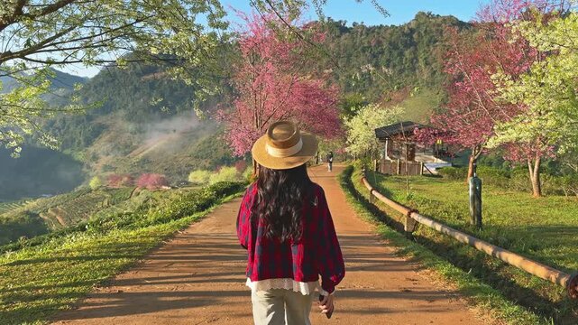 Tourists sightseeing on Doi Ang khang, Chiang Mai.