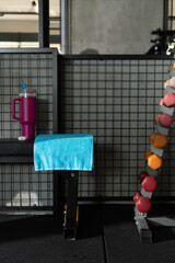 Small Dumbbells on Rack with Blue Towel and Pink Thermos Photo
