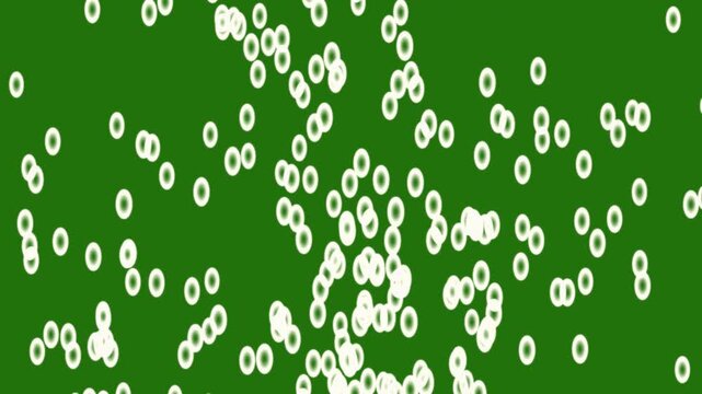 Abstract glitter and particle. Looped animation with beautiful glowing bokeh,Falling glitter buble, white twinkling particles, magic particle effect on green screen backgr