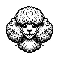 Cute black and white poodle dog illustration with curly fur